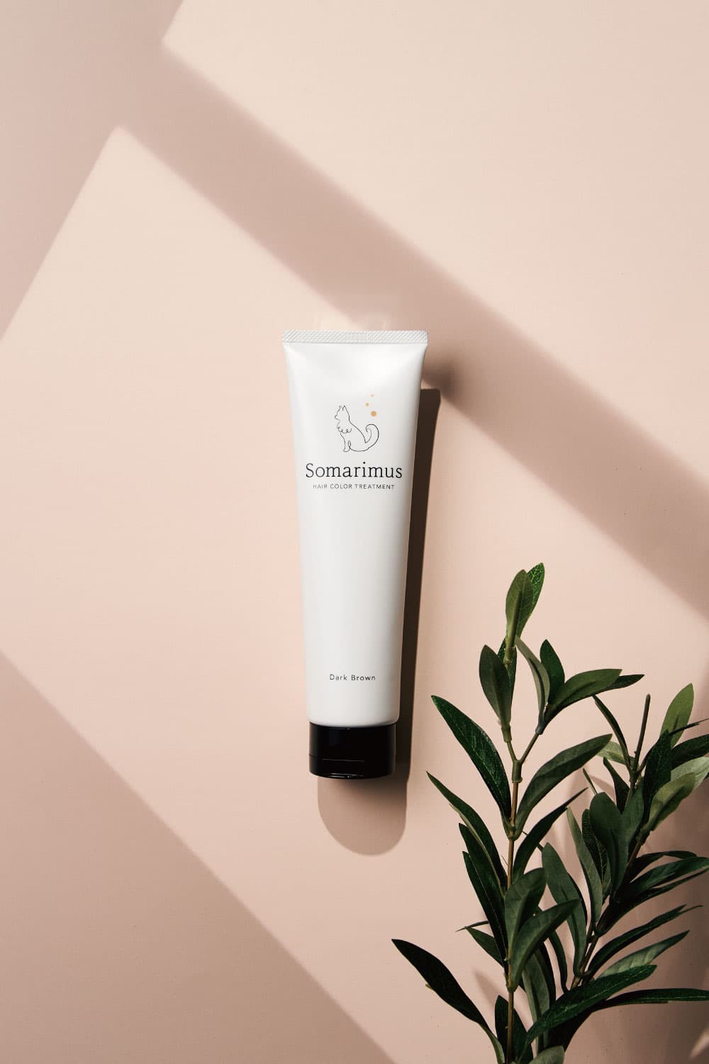 トップスライド画像１