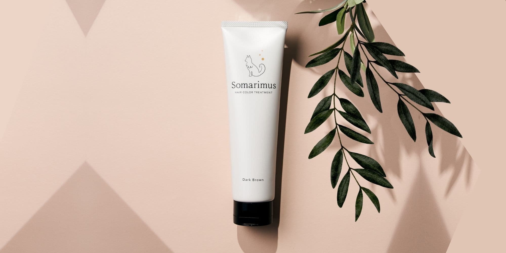 トップスライド画像１